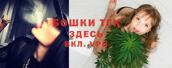 spice Краснослободск
