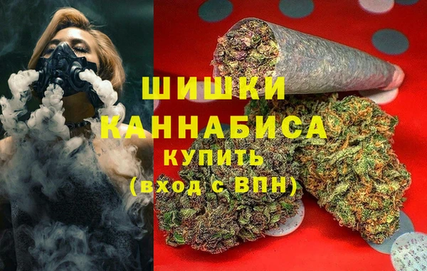 spice Краснослободск